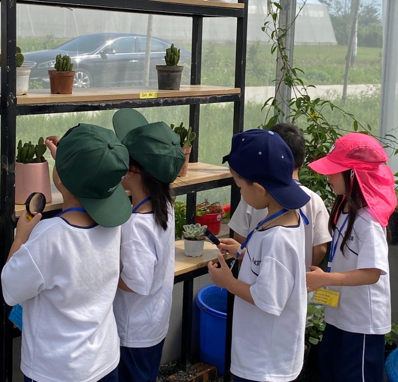 Địa điểm lý tưởng tổ chức hội chợ giáo dục tại Hà Nội - Terrasol Farm Life