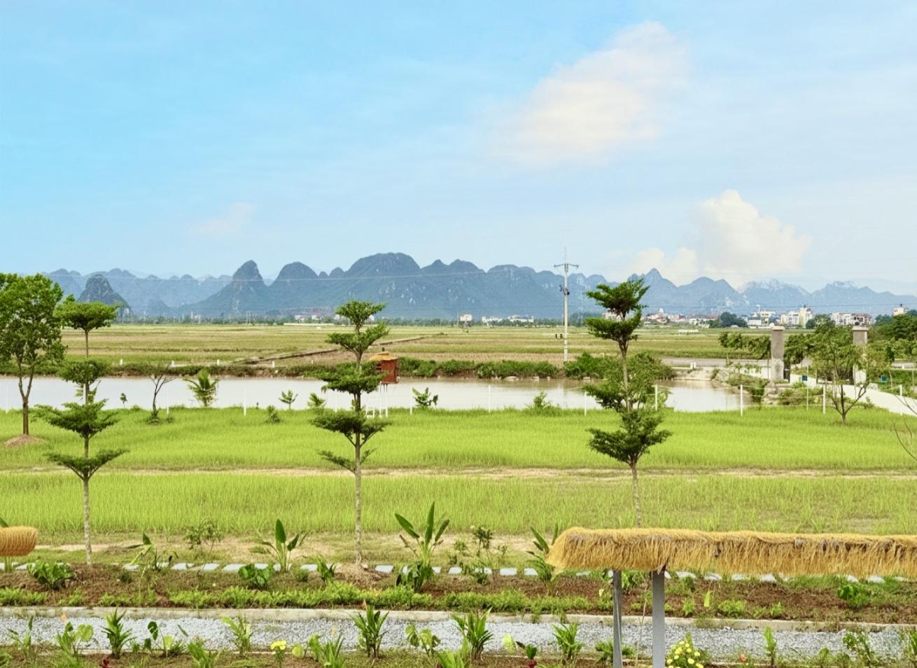 Vui chơi – Giải trí cuối tuần tại Terrasol Farm Life