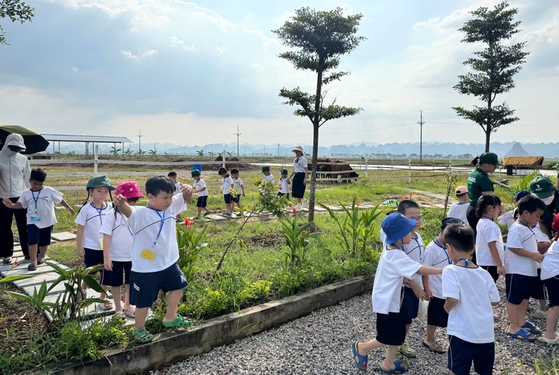 Du lịch nông nghiệp xanh – Xu hướng nghỉ dưỡng kết hợp học tập