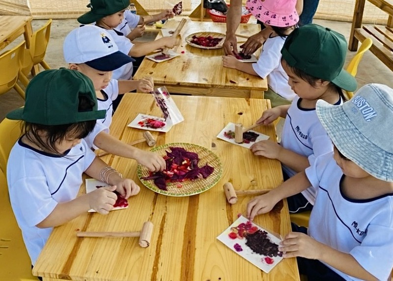 Terrasol Farm Life – Không gian giáo dục xanh hiện đại giữa lòng Mỹ Đức