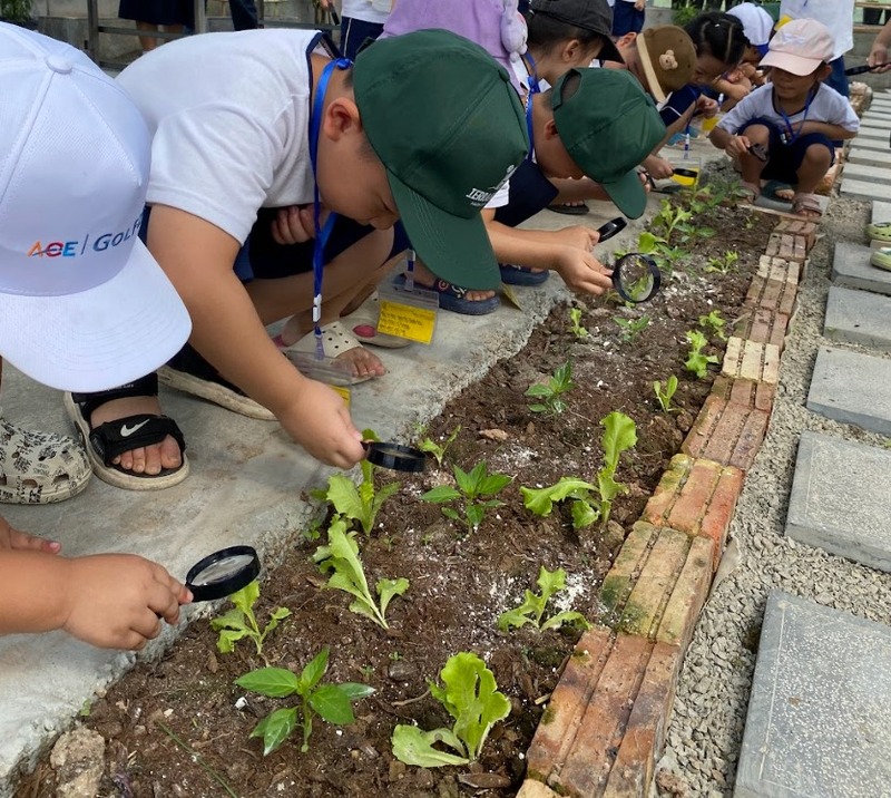 Các hoạt động nổi bật trong chương trình Giáo Dục Xanh cho trẻ em tại Terrasol Farm Life