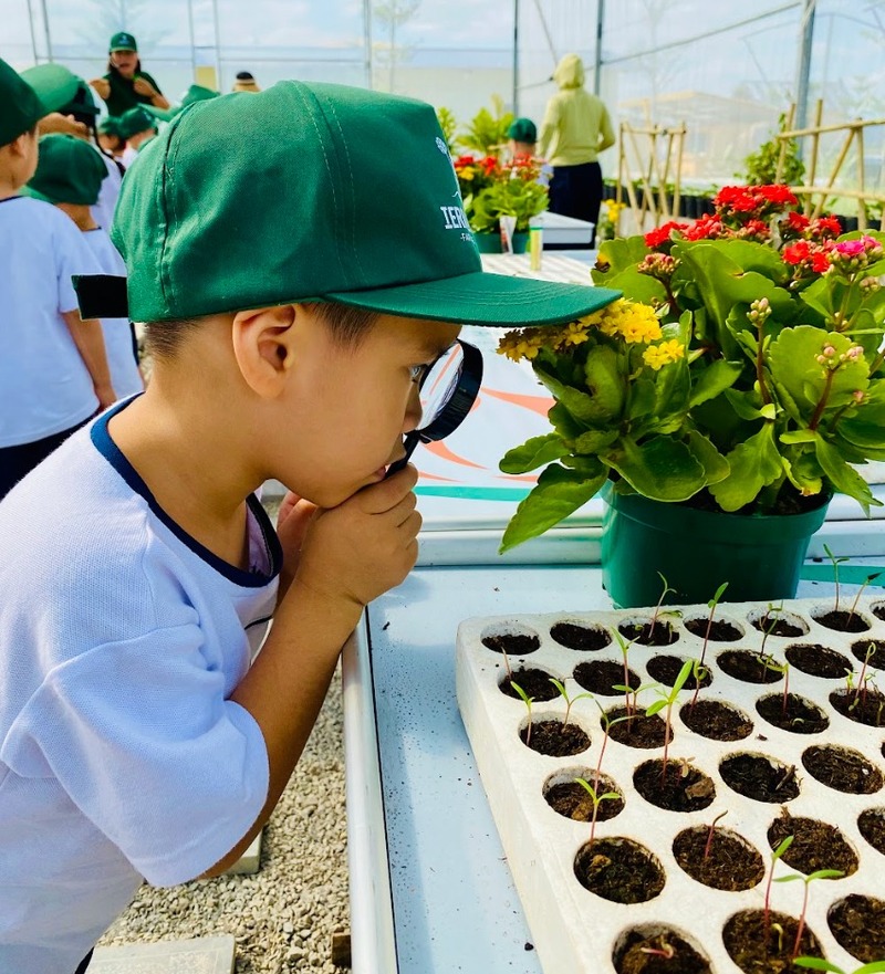 Giáo dục xanh cho trẻ mầm non – Học từ thiên nhiên quanh ta