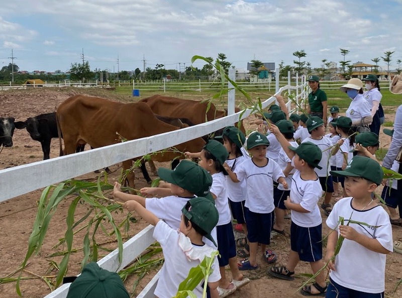 Lý do nên giáo dục xanh cho trẻ mầm non