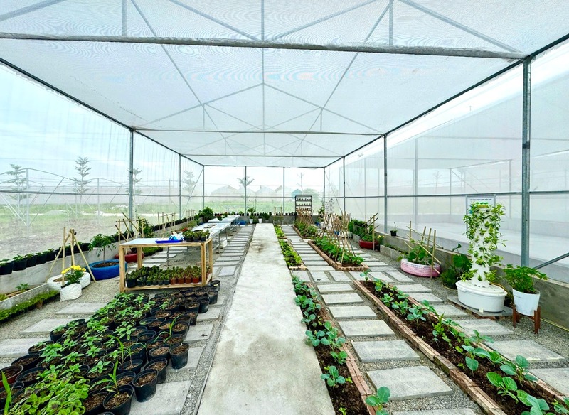 Giáo dục xanh cho trẻ mầm non tại Terrasol Farm Life