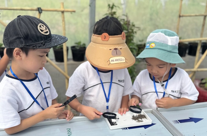 Mô hình farmstay giáo dục cho trẻ hoạt động như thế nào?