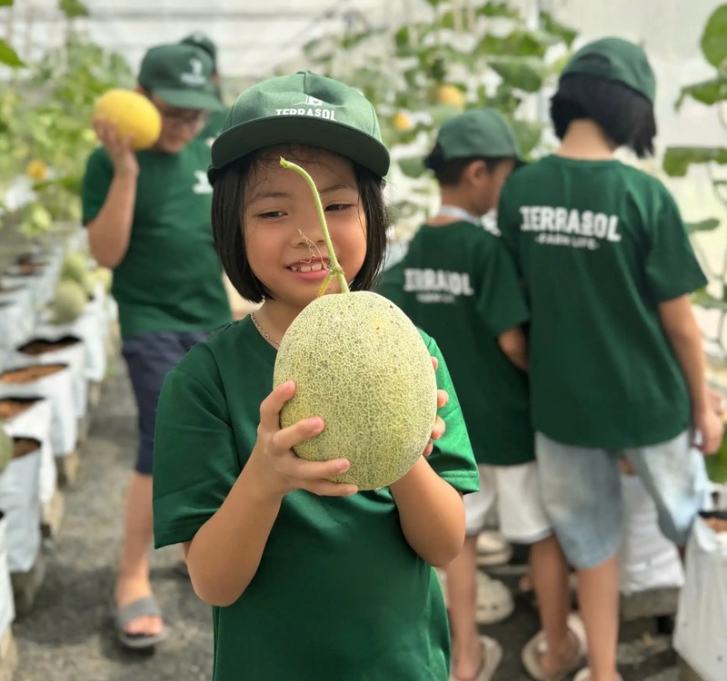 Sản phẩm nông sản và lưu niệm Terrasol Farm Life