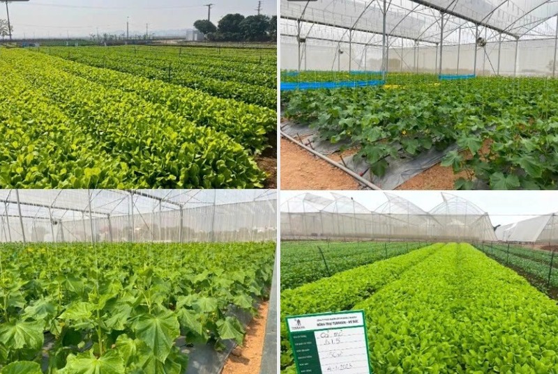 Tại sao nên lựa chọn sản phẩm nông sản và quà lưu Terrasol Farm Life?