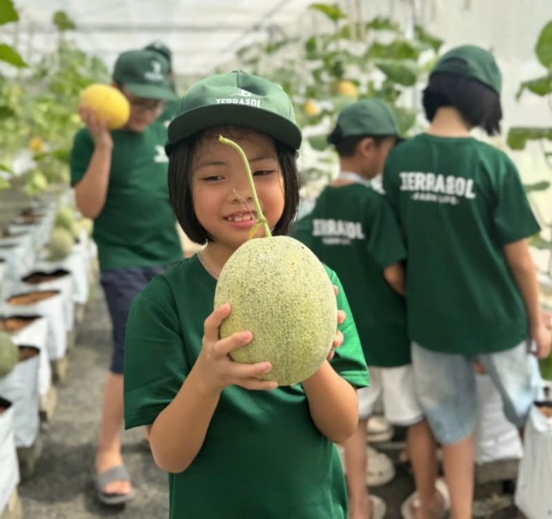 Tại sao nên tham gia Terrasol Farm Life Farm Tour?