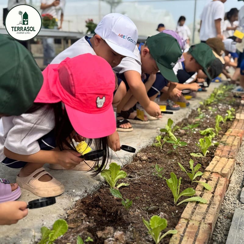 Đăng ký tham gia Terrasol Farm Life Farm Tour