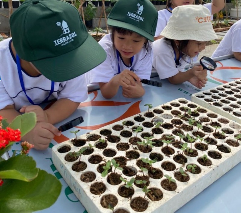Terrasol Farm Life Giáo dục Chuyên đề - Học từ thiên nhiên, lớn cùng trải nghiệm