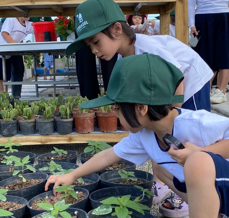 Vì sao nên chọn Terrasol Farm Life cho chương trình giáo dục chuyên đề?