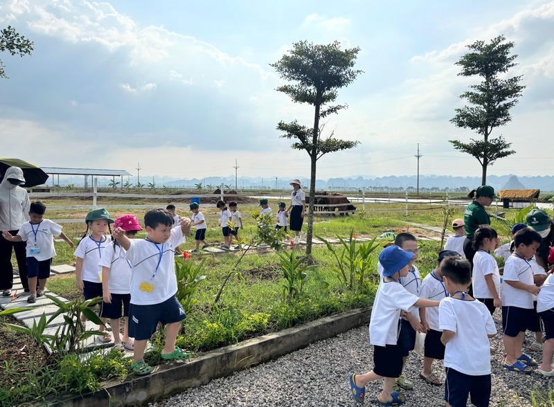 Terrasol Farm Life hội chợ giáo dục – Hành trình kết nối tri thức và thiên nhiên