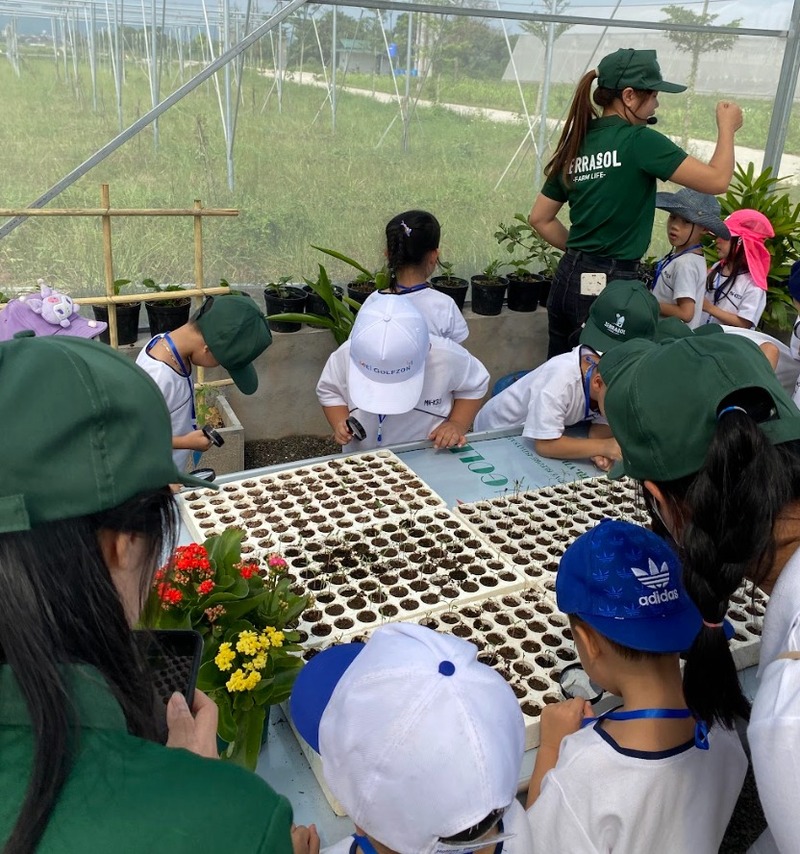 Hội chợ giáo dục Terrasol Farm Life – Sự kiện ý nghĩa của giáo dục trải nghiệm