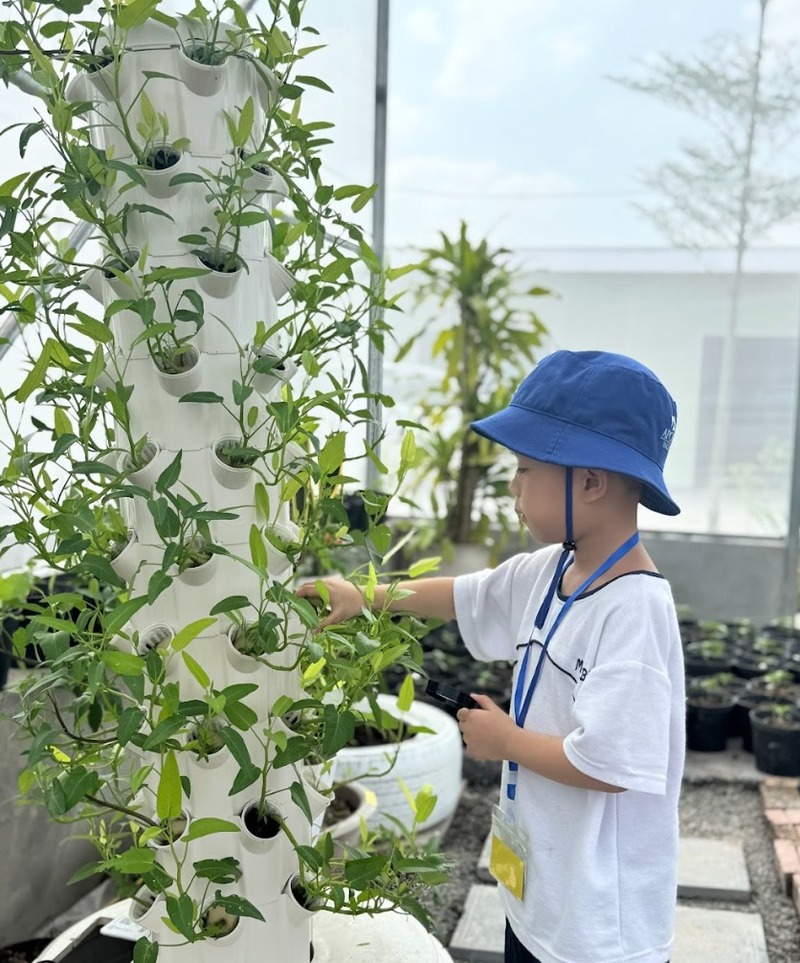 Lợi ích khi tham gia hội chợ giáo dục Terrasol Farm Life