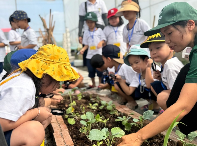 Terrasol Farm Life – Không gian giáo dục xanh chuẩn GlobalGAP