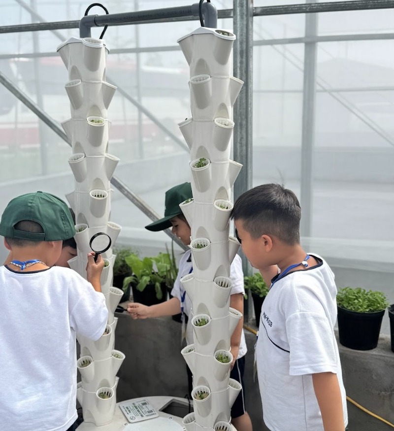 Tổ chức hội chợ giáo dục cùng Terrasol Farm Life