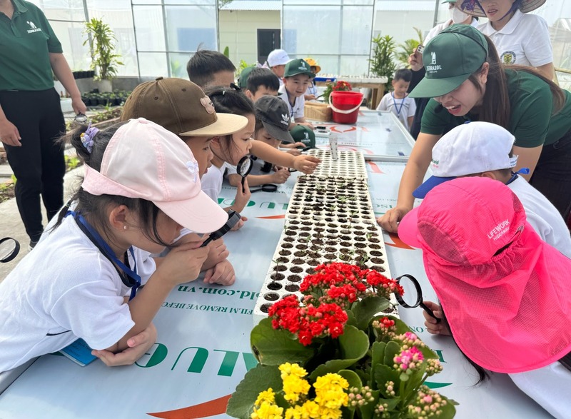 Các hoạt động kỳ thú tại Terrasol Farm Life trại hè cho trẻ