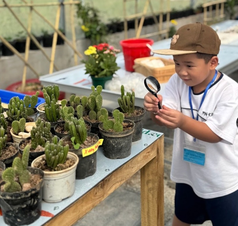 Tại sao tổ chức trại hè tại giáo dục cho trẻ tại Terrasol Farm Life?