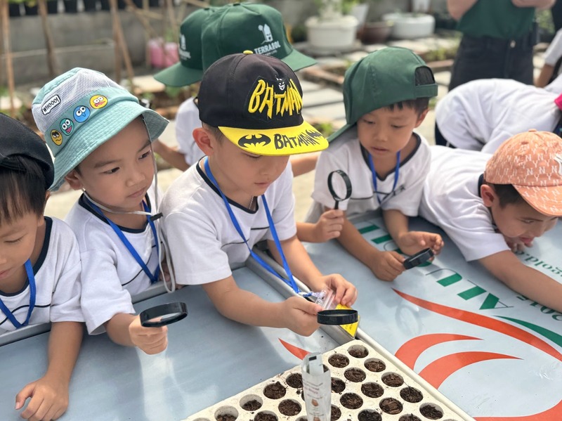 Đăng ký tổ chức Terrasol Farm Life Trại hè giáo dục xanh