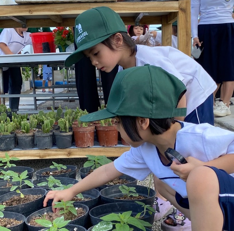 Có nên tham gia trại hè nông nghiệp sinh thái không?