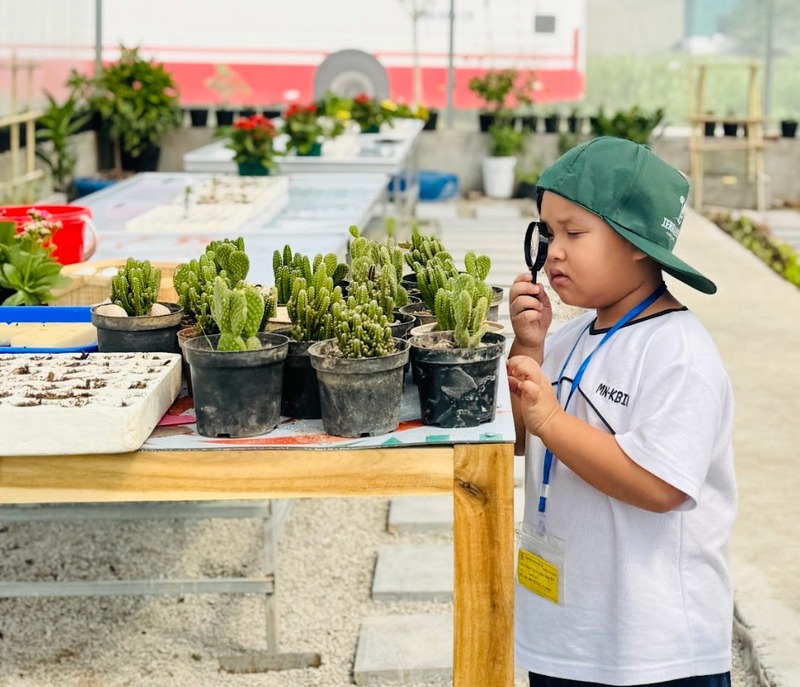 Tham gia Trại hè nông nghiệp sinh thái tại Terrasol Farm Life