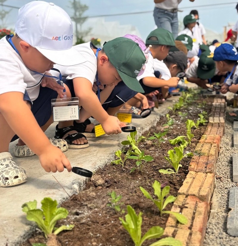 Trải nghiệm học làm nông cho bé – Hoạt động giáo dục bổ ích tại Terrasol