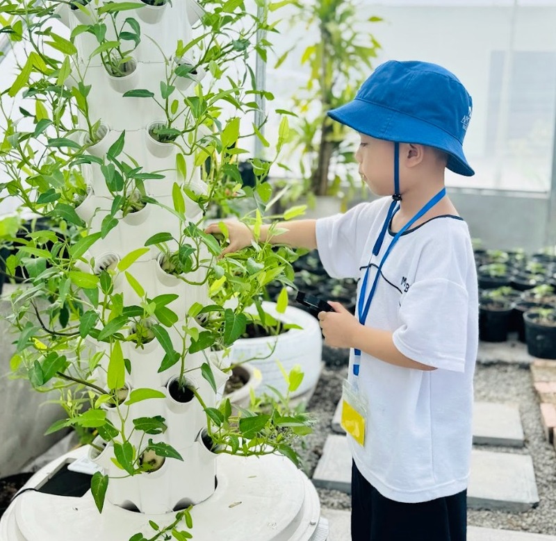 Trải nghiệm học làm nông dành cho trẻ mấy tuổi?