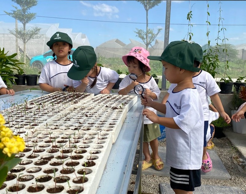 Trải nghiệm học làm nông cho bé tại Terrasol Farm Life