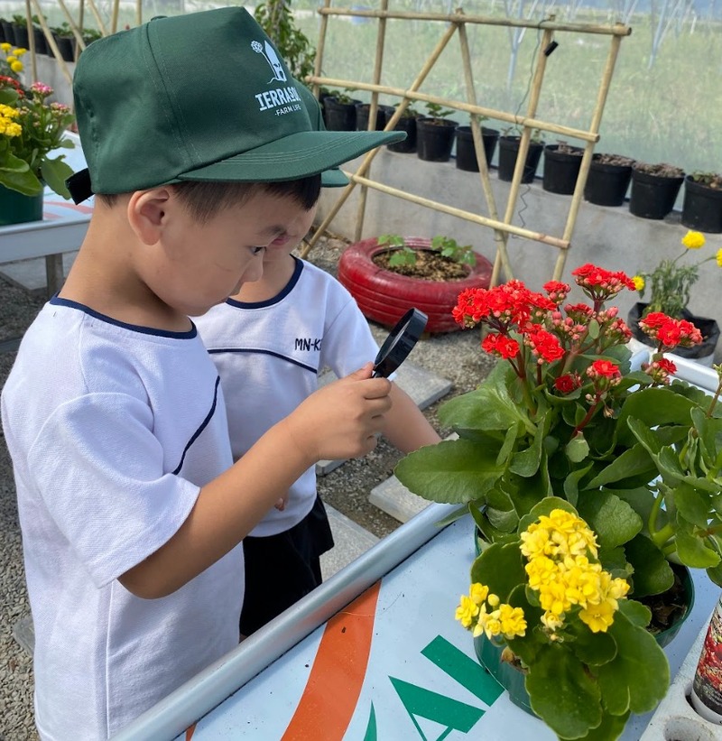 Tiêu chí lựa chọn trò chơi trải nghiệm học tập ngoài trời cho trẻ em