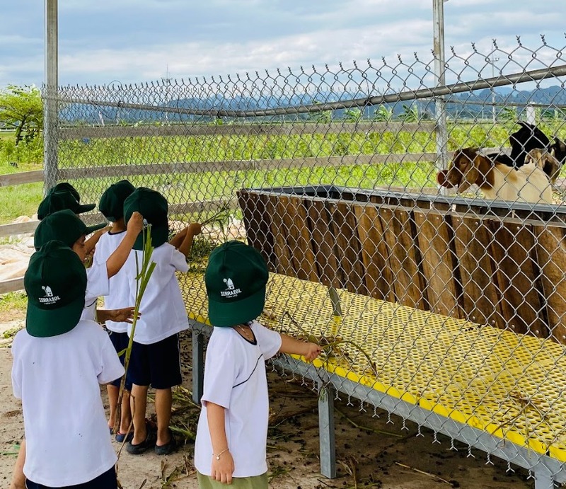 Các trò chơi trải nghiệm học tập ngoài trời cho trẻ em phát triển toàn diện