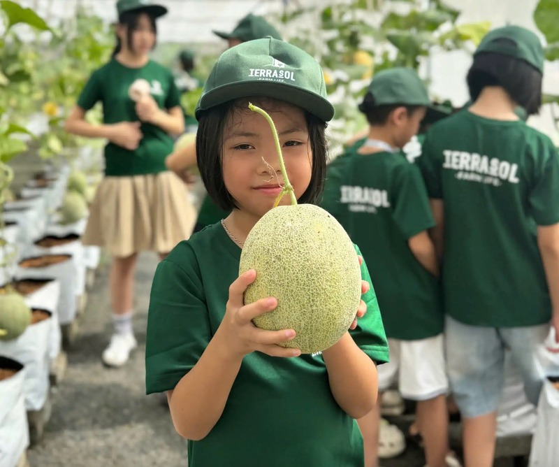 Thu hoạch nông sản tại Terraol Farm Life