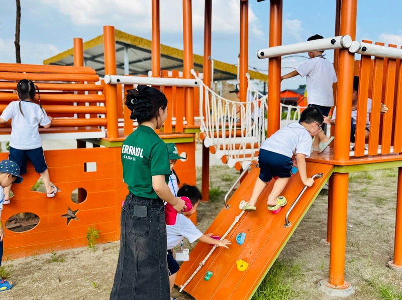 Trò chơi đồng đội ngoài trời tại Terrasol Farm Life
