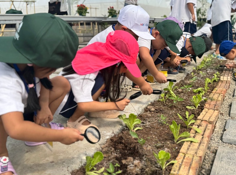 Trang trại trải nghiệm mô hình giáo dục tại Hà Nội - Terrasol Farm Life có gì đặc biệt?