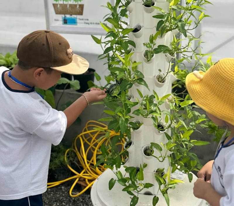 Xu hướng giải trí bằng trang trại mô hình giáo dục hiện nay