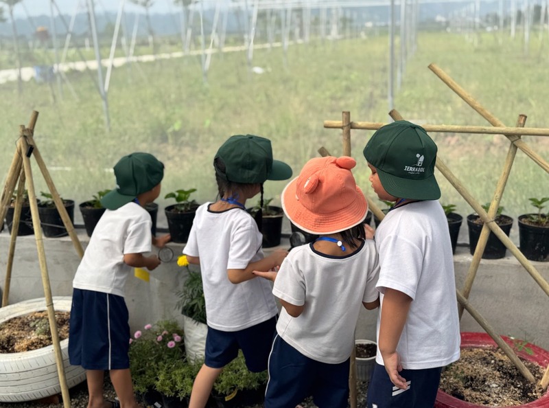 Tiêu chí lựa chọn trang trại trải nghiệm mô hình giáo dục