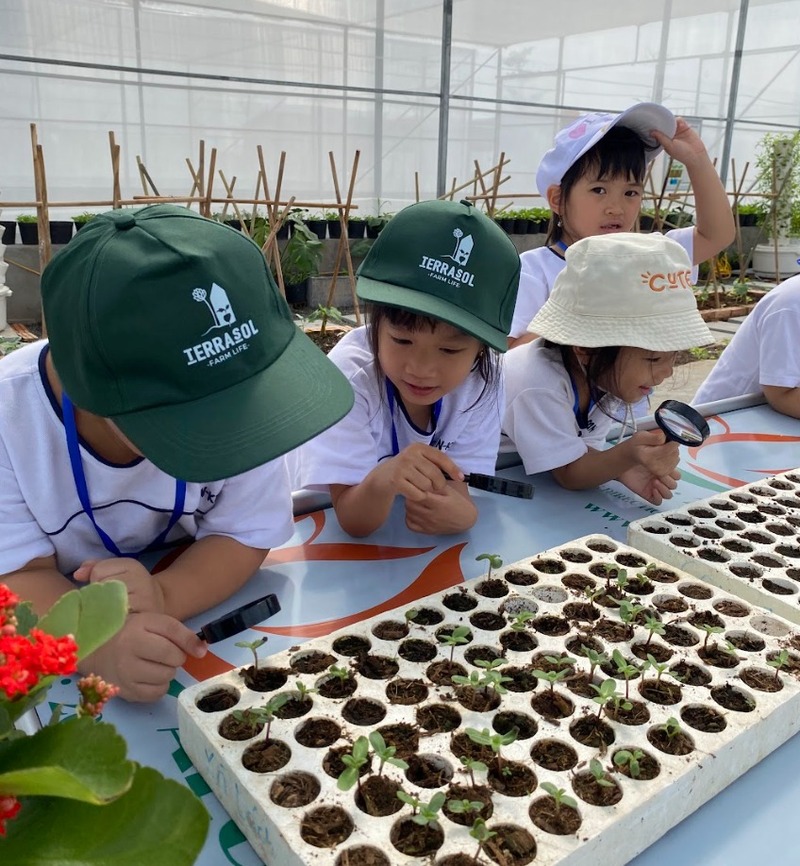 Trang trại trải nghiệm mô hình giáo dục tại Hà Nội ở đâu chất lượng?