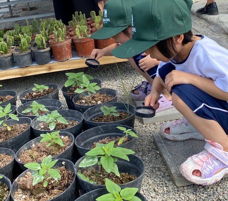 Tại sao trang trại giáo dục ngày càng được phát triển?