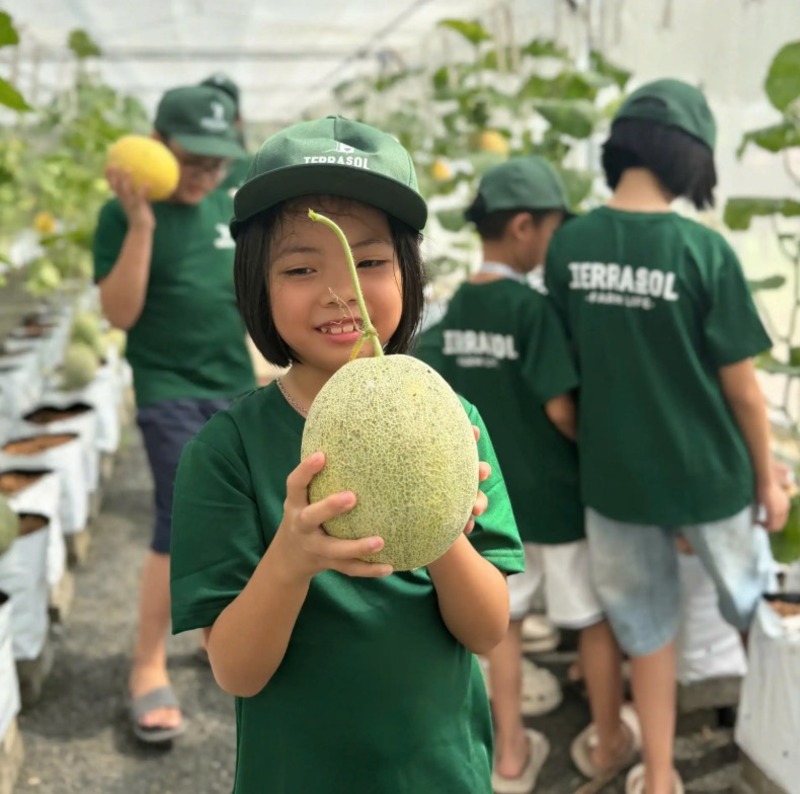 Các sản phẩm và dịch vụ trang trại giáo dục Terrasol Farm Life cung cấp